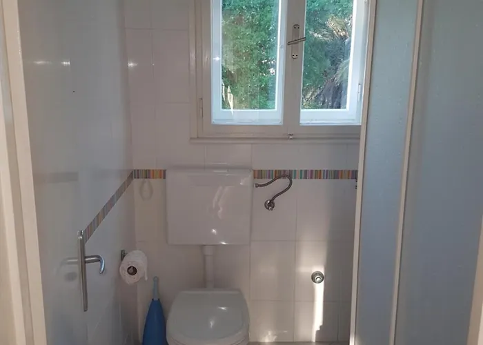 Anticevic * 흐바르